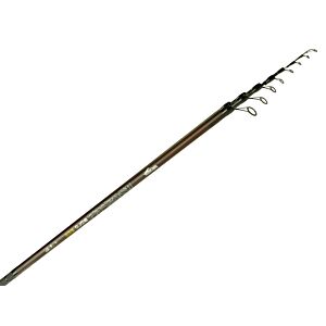 Bologneza Nevis Whisper 6m